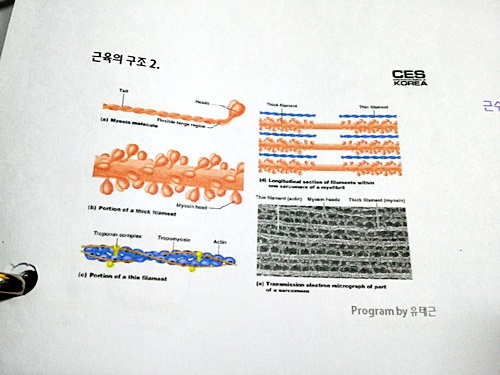 20180531_003429.jpg