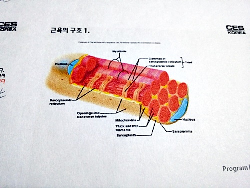 20180531_003435.jpg
