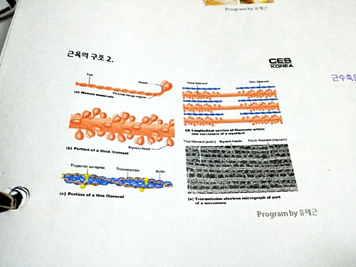 20180602_222707.jpg