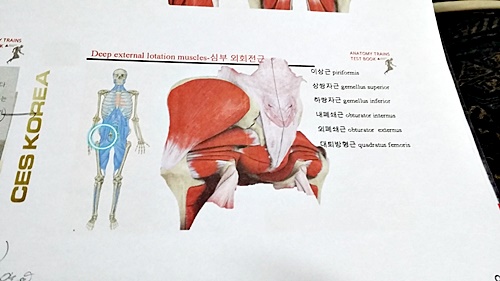 20180522_110244.jpg