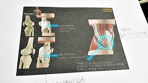 20180522_110327.jpg