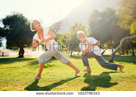 stock-photo-yoga-at-park-senior-family-couple-exercising-outdoors-concept-of-healthy-lifestyle-1022796343.jpg