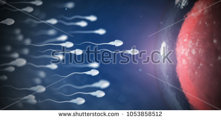 stock-photo-sperm-and-egg-cell-on-microscope-scientific-background-d-illustration-1053858512.jpg
