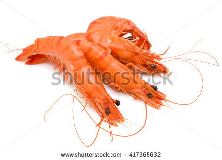 stock-photo-cooked-tiger-shrimps-isolated-on-white-background-417365632.jpg