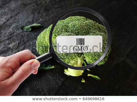 hand-magnifying-glass-examining-broccoli-450w-649698616.jpg