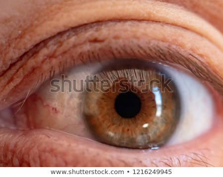 eye-macro-shot-green-human-450w-1216249945.jpg