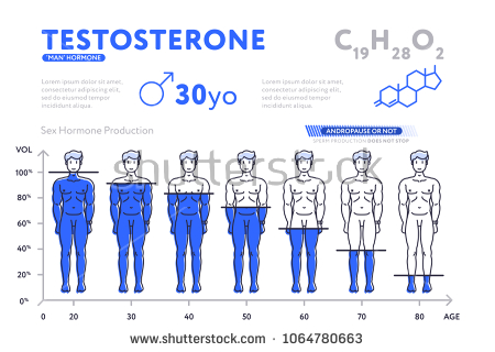 stock-vector-flat-design-of-infographic-diagram-showing-male-hormone-testosterone-during-lifetime-decreasing-up-1064780663.jpg