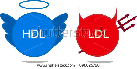 stock-vector-good-and-bad-cholesterol-illustration-vector-eps-696625726.jpg