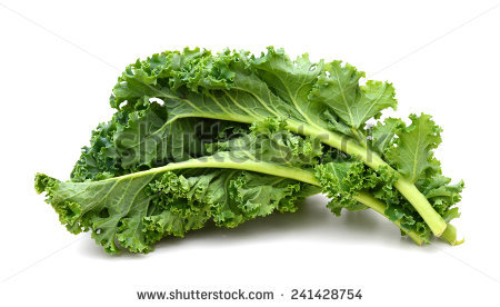 stock-photo-kale-leafy-vegetable-closeup-on-white-background-241428754.jpg