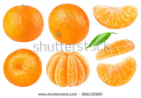 stock-photo-isolated-citrus-collection-whole-tangerines-or-mandarin-orange-fruits-and-peeled-segments-isolated-666132985.jpg