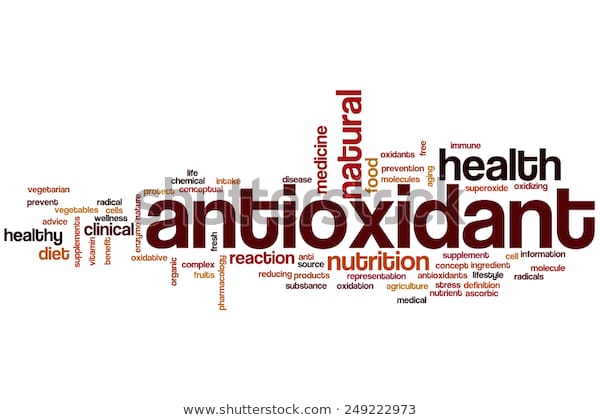 antioxidant-word-cloud-concept-600w-249222973.jpg