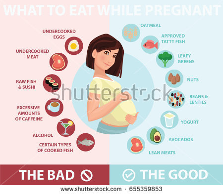 stock-vector-pregnant-woman-diet-infographic-a-food-guide-for-pregnant-woman-pregnant-diet-healthy-lifestyle-655359853.jpg