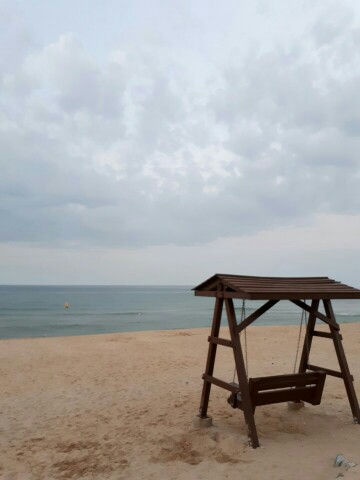 1502105482146-360x480.jpeg