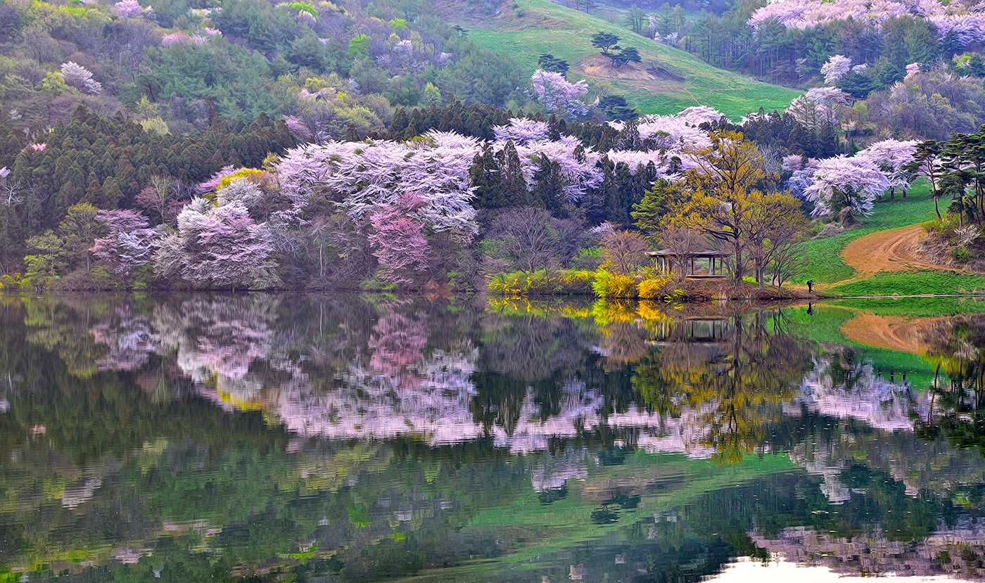 1460329452_HS_용비지_반영.jpg