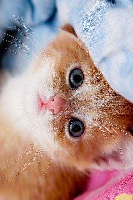 FB_IMG_1466608913953.jpg