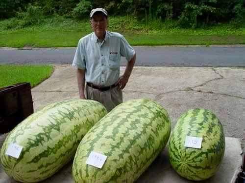 FB_IMG_1466554256772.jpg