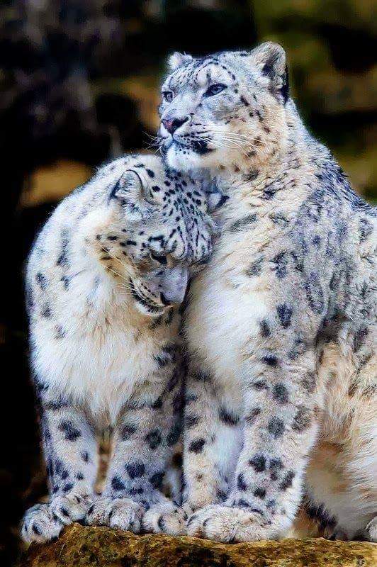 FB_IMG_1467129676510.jpg