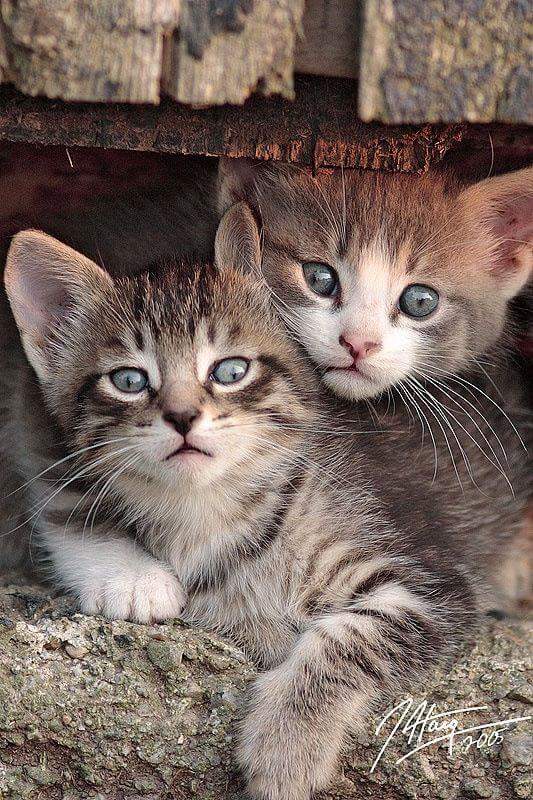 FB_IMG_1467129640512.jpg