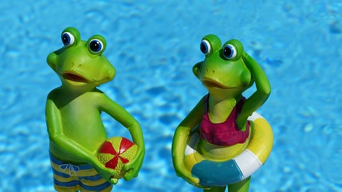 frog-830869_960_720.jpg