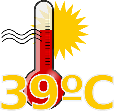 fever-1300516_960_720.png