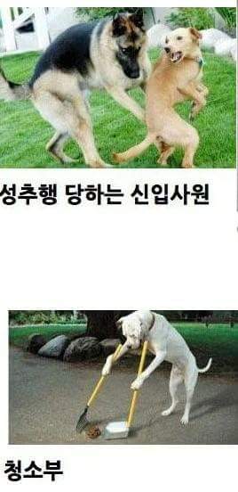 FB_IMG_1484740222892.jpg