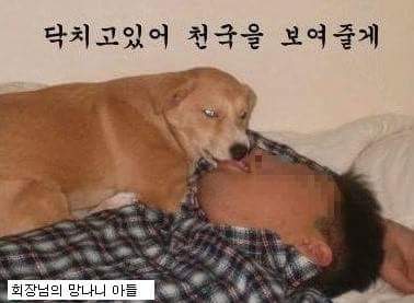 FB_IMG_1484740230284.jpg