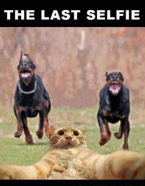 FB_IMG_1463028195984.jpg