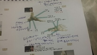 20190106_170913-409x230.jpg