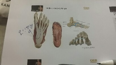 20190106_174617-409x230.jpg