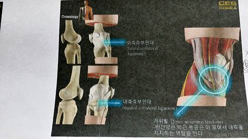 20170409_173906.jpg