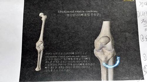 20170409_174022.jpg