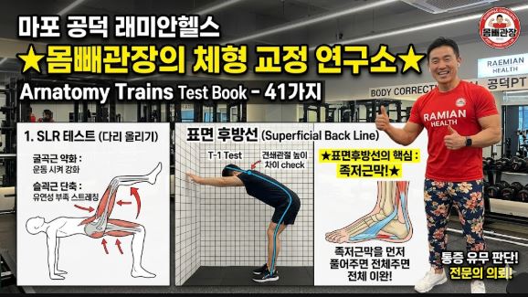 slr 테스트 표면후방선