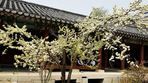 20160410_135711.jpg