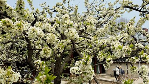 20160410_135717.jpg