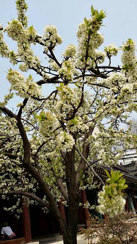 20160410_135744.jpg
