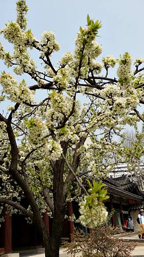 20160410_135743.jpg