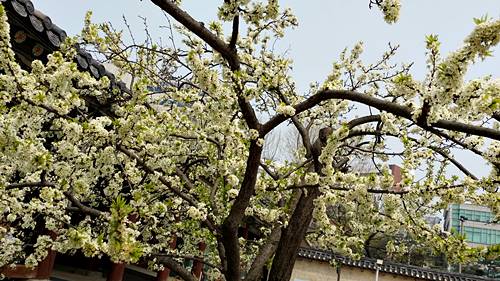 20160410_135748.jpg