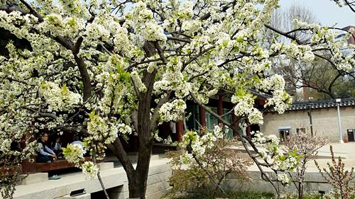 20160410_135724.jpg
