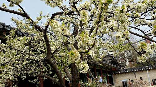 20160410_135736.jpg