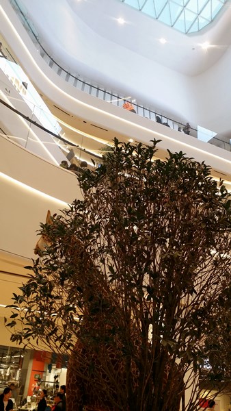 20161023_121951.jpg