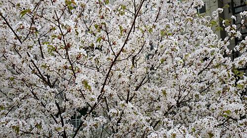 20160412_121609.jpg