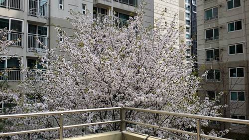 20160412_121621.jpg