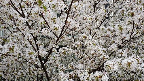 20160412_121642.jpg