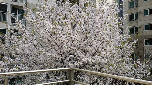 20160412_121617.jpg