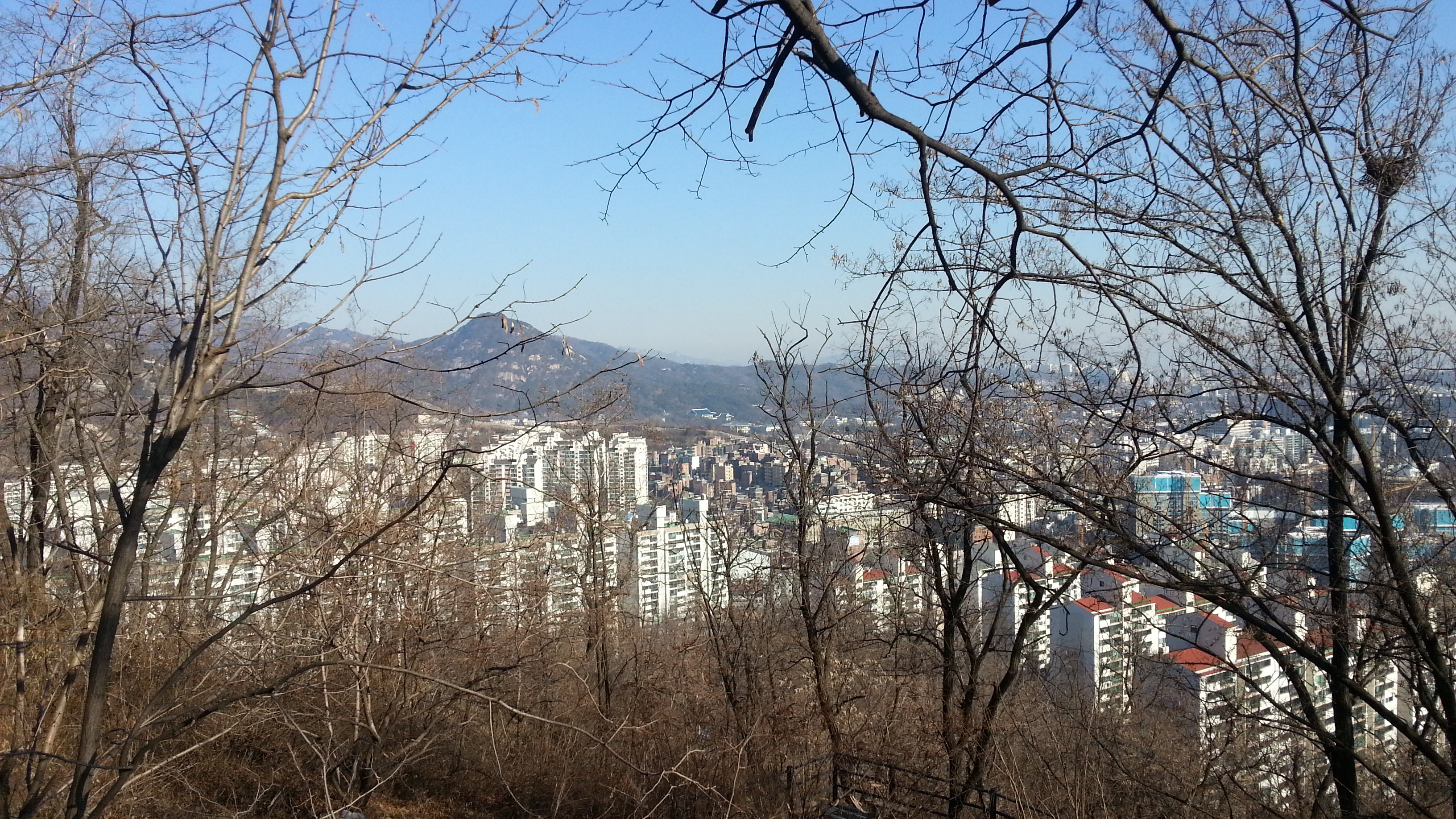 20151227_120015.jpg