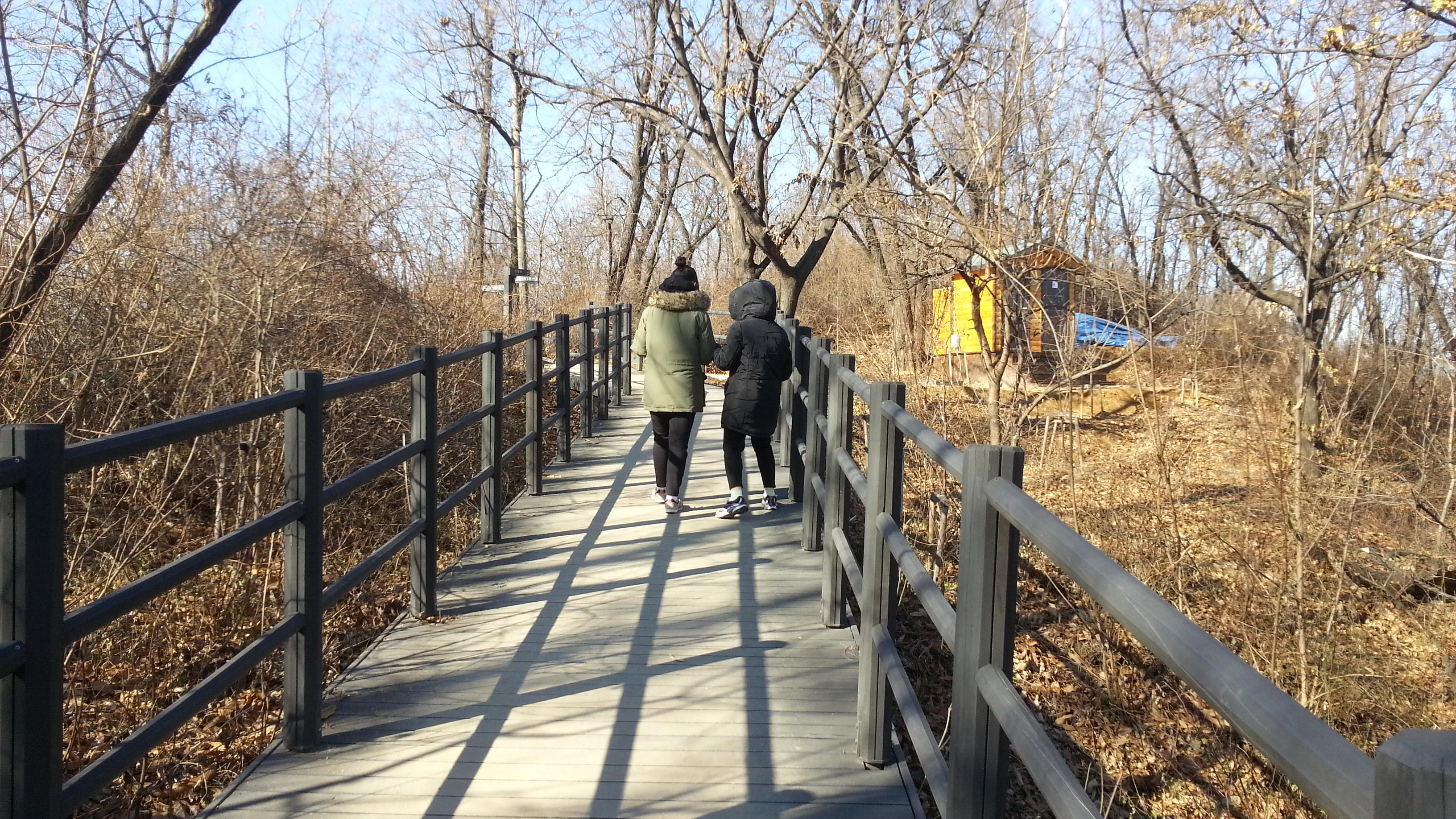 20151227_120022.jpg