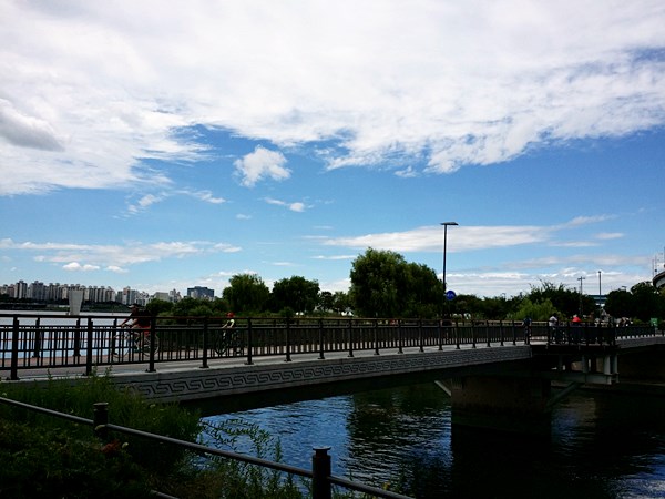 20160828_131244.jpg