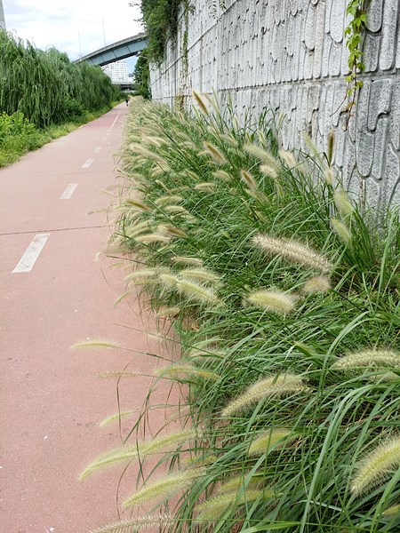 20160828_131633.jpg