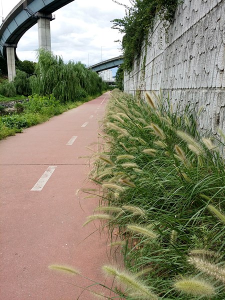 20160828_131639.jpg