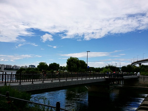 20160828_131243.jpg